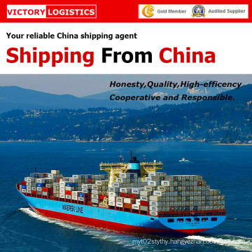 Sea Freight/Logistics Shipping From China to Worldwide